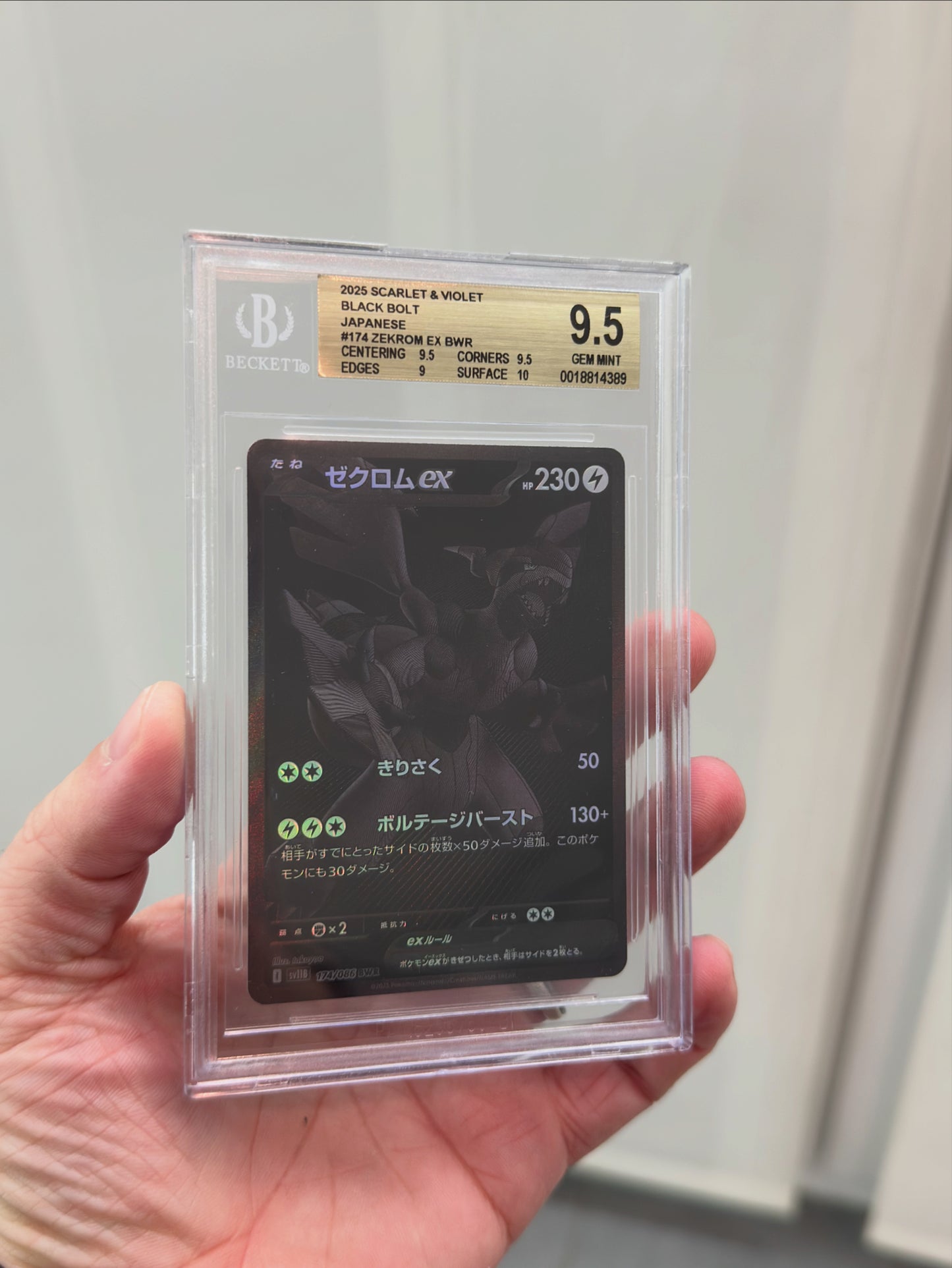 Zekrom EX BWR – BGS 9.5 Gem Mint | Japanese Black Bolt | Pokémon Karte kaufen – Pokécado